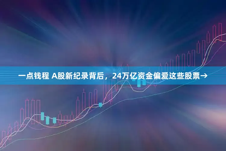 一点钱程 A股新纪录背后，24万亿资金偏爱这些股票→